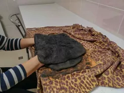 Грязелечение