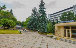 Территория