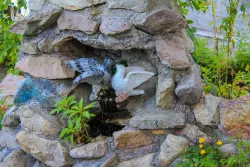 Территория