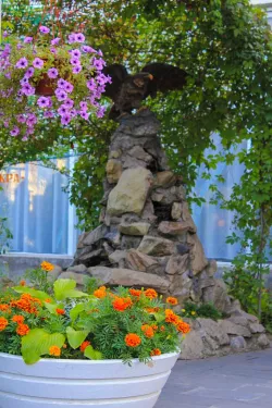 Территория