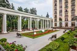 Зеленая зона Зеленая зона