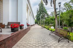 Аллея Аллея