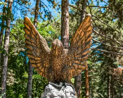 Территория Центрального Военного Территория Центрального Военного