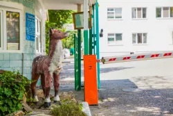 Территория