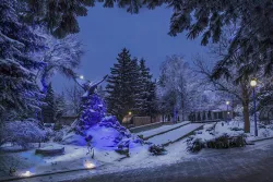 Территория