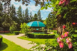 Территория