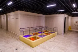 Дорожка Кнейпа