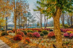 Клумбы на территории Клумбы на территории