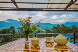 Кафе «Чайка»