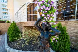 Территория