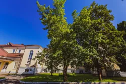 Территория Территория