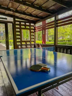 Настольный теннис Настольный теннис