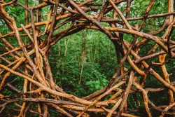 Территория Территория