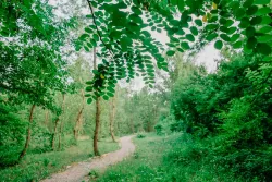 Территория Территория