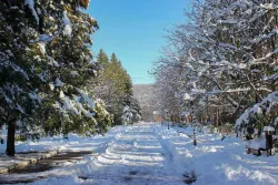 Территория Территория