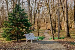 Территория