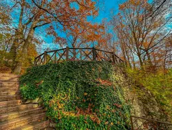 Территория