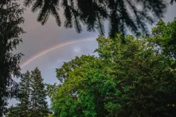 Территория