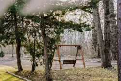 Территория