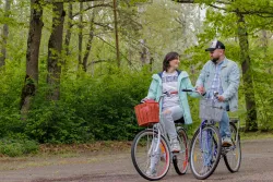 Территория