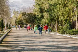 Территория