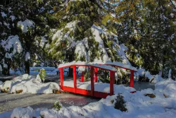 Территория