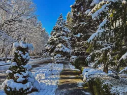 Территория