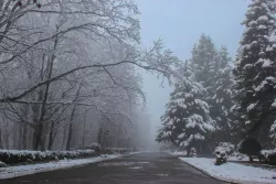 Территория Территория