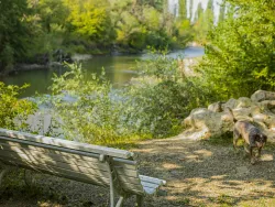 Территория