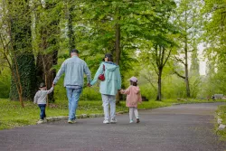 Территория