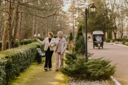 Территория