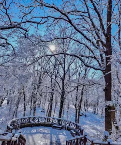 Территория