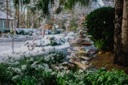 Территория