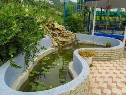 Территория