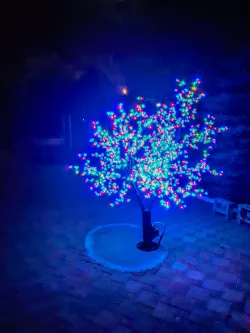 Территория