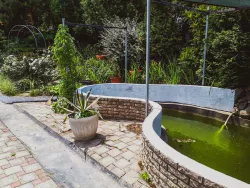 Территория