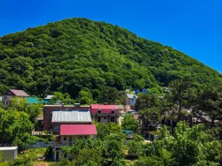 Территория