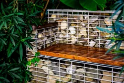 Территория Территория