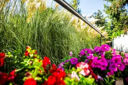 Территория Территория