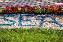 Территория Территория