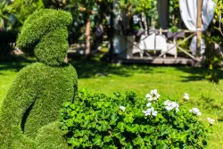 Территория Территория