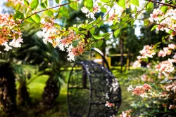 Аэросолярий Аэросолярий