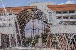 Территория