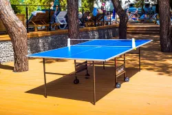 Настольный теннис