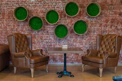 Паб Брудершафт