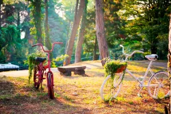 Территория