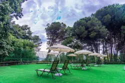 Территория