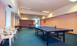 Развлечения Развлечения