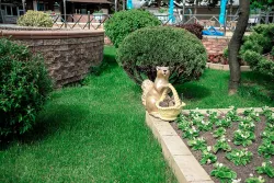 Территория