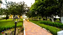 Территория